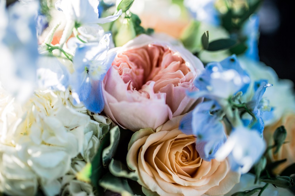 Hydrogenae bridal summer bouque made of white orange and pink fresh roses topped with hydrogenae of blue colour.